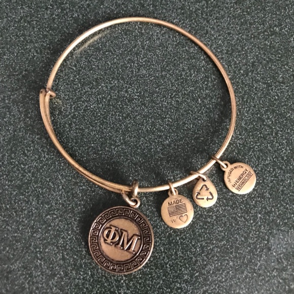 Alex and Ani Expandable Wire Bangle Bracelet 2015 - Picture 4 of 13
